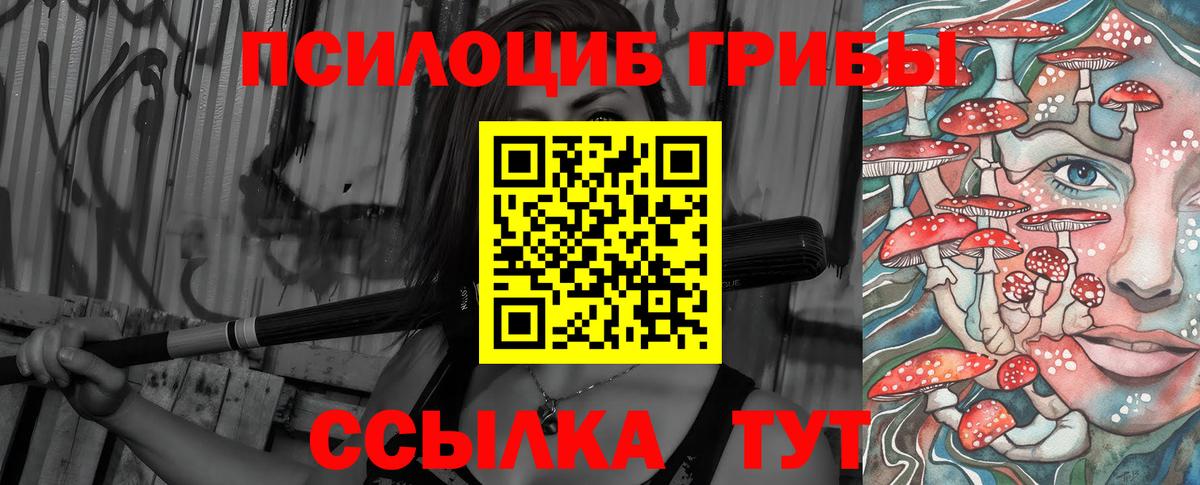 Галлюциногенные грибы Psilocybe  Вход с VPN  Бердск  Галлюциногенные грибы мицелий 
